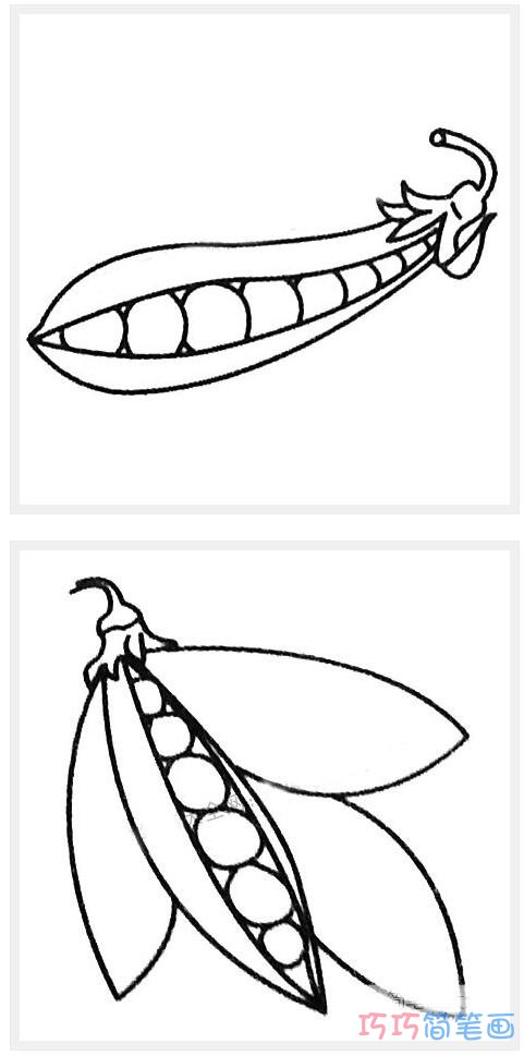成熟豆角要怎么画好看_简单豆角简笔画图片