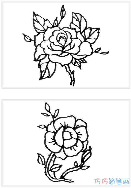 怎么画简单的线条玫瑰花_玫瑰花简笔画图片