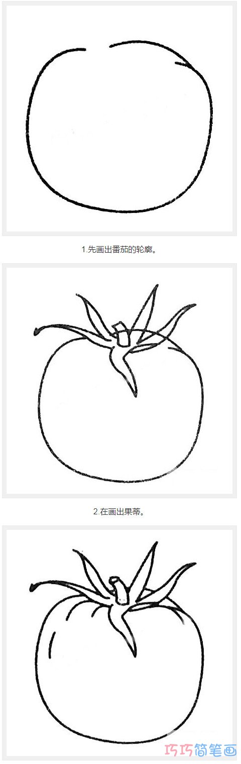 儿童西红柿怎么画带步骤图_西红柿简笔画图片
