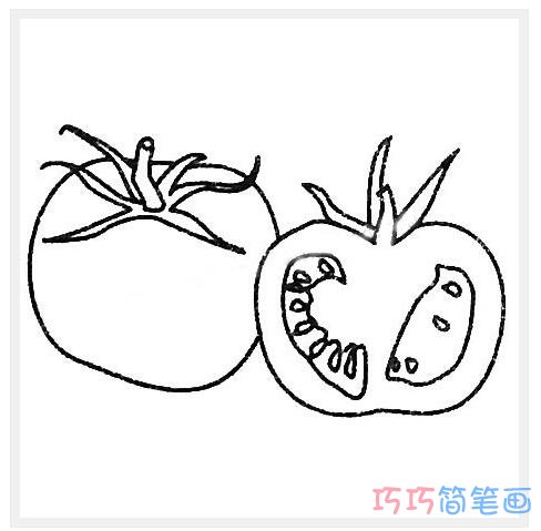 幼儿西红柿要怎么画简单易学_西红柿简笔画图片