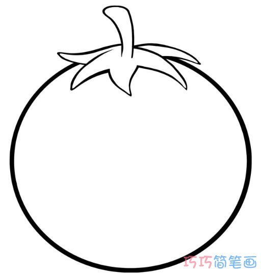 西红柿怎么画简洁好看_西红柿简笔画图片