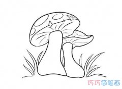 卡通蘑菇的画法简单可爱_蘑菇简笔画图片