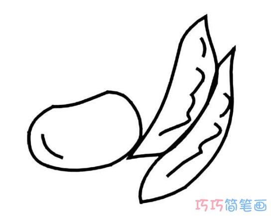 蚕豆要怎么画好看可爱_蚕豆简笔画图片