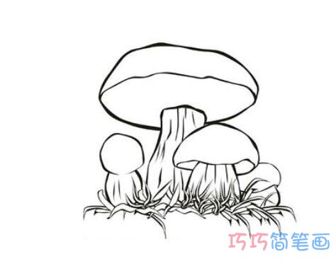 儿童蘑菇怎么画好看简洁_蘑菇简笔画图片