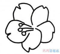 简单儿童可爱樱花怎么画好看_樱花简笔画图片