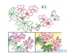 儿童彩色樱花的画法简单漂亮_樱花简笔画图片