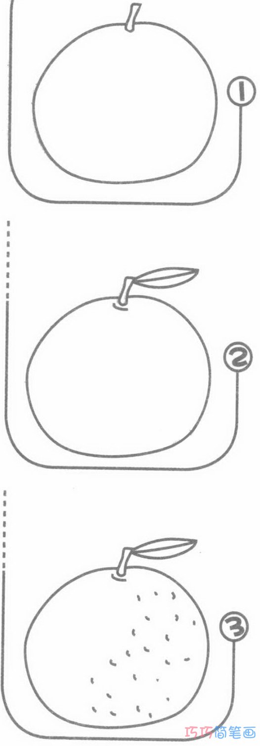 儿童卡通橘子简单画法步骤_橘子简笔画图片