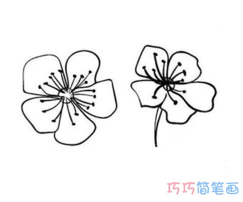 卡通可爱的樱花怎么画简单_樱花简笔画图片