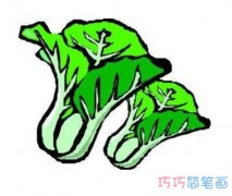 卡通上海青素描怎么画简单好看_青菜简笔画图片