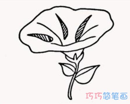 简单素描牵牛花的画法好看_牵牛花简笔画图片