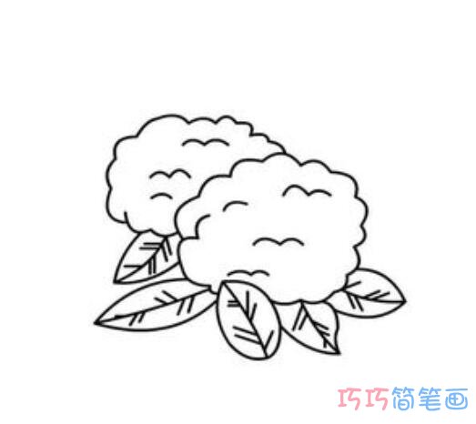 花菜怎么画简单好看_花菜简笔画图片