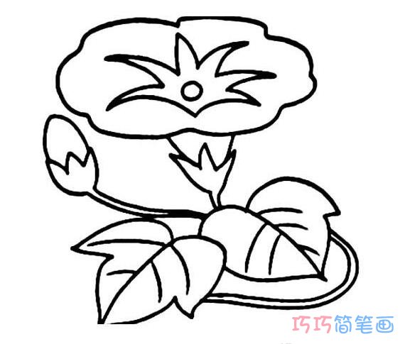 如何画儿童简单美丽的牵牛花_牵牛花简笔画图片