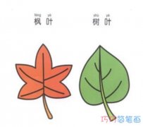 卡通秋天树叶怎么画好看涂颜色_秋天简笔画图片