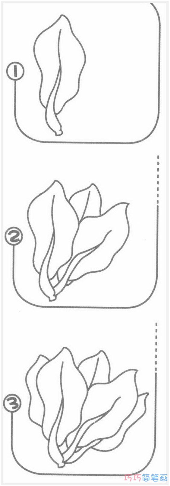 菠菜怎么画简洁好看_带步骤图菠菜简笔画图片