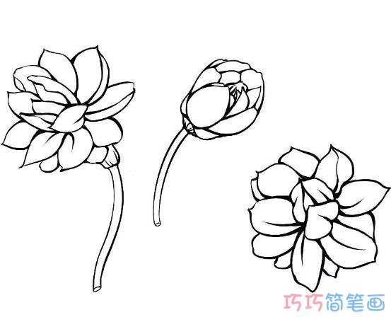 儿童简单的茉莉花如何画好看_茉莉花简笔画图片