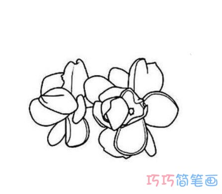 儿童简单的茉莉花如何画好看_茉莉花简笔画图片