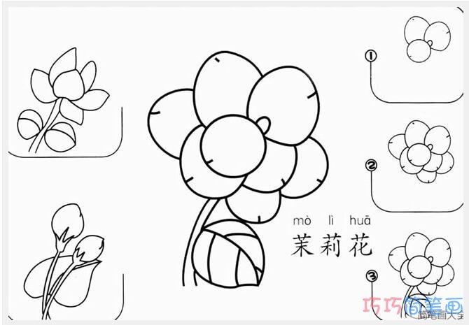 卡通可爱的茉莉花步骤图_茉莉花简笔画图片