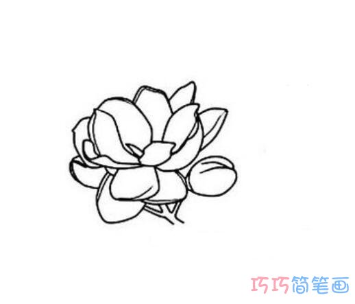 卡通可爱的茉莉花步骤图_茉莉花简笔画图片