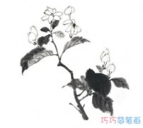 如何画美丽优雅的茉莉花水墨画_茉莉花简笔画图片