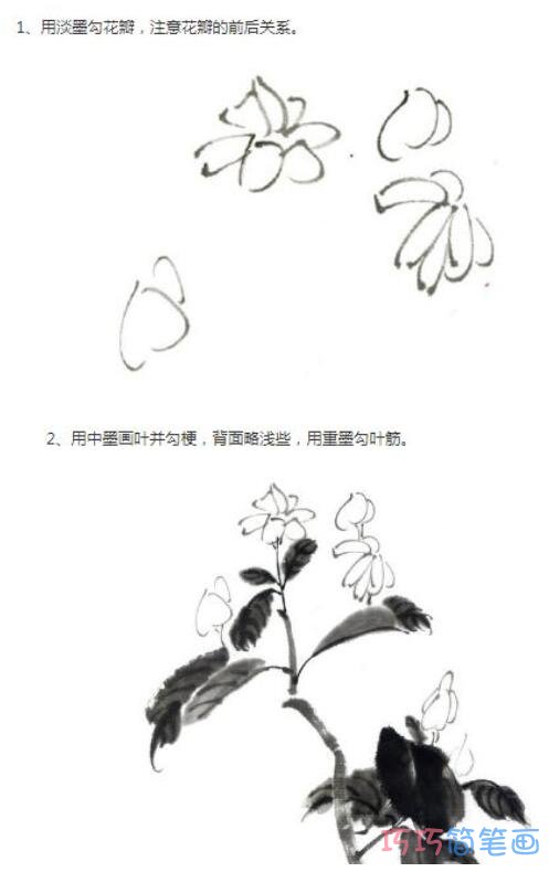 如何画美丽优雅的茉莉花水墨画_茉莉花简笔画图片