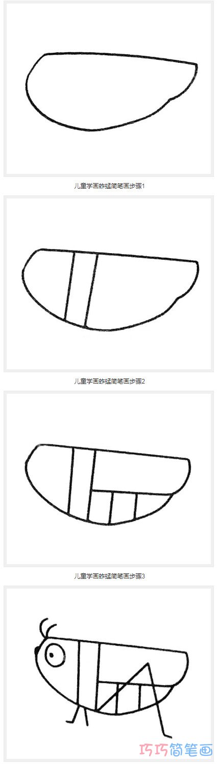 卡通蚱蜢要怎么画简单_带步骤蚱蜢简笔画图片