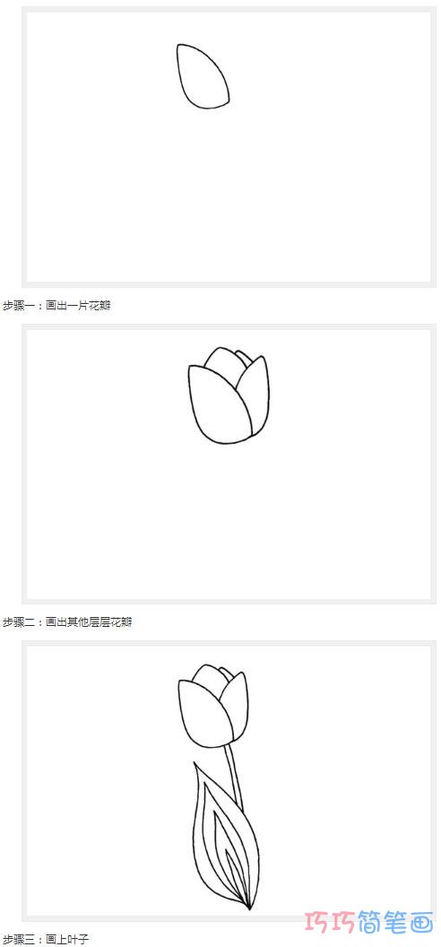 简单好看的郁金香怎么画步骤图_郁金香简笔画图片