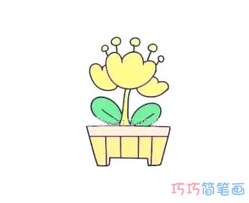 黄色的盆栽郁金香怎么画可爱好看_郁金香简笔画图片