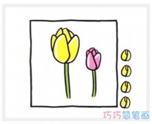 儿童彩色郁金香的画法步骤图涂色_郁金香简笔画图片