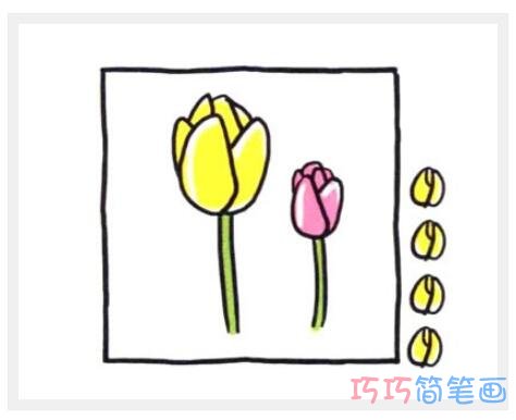 带颜色的郁金香花苞的步骤图_郁金香简笔画图片