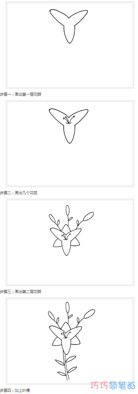 三角梅怎么画好看简单_带步骤图花简笔画图片