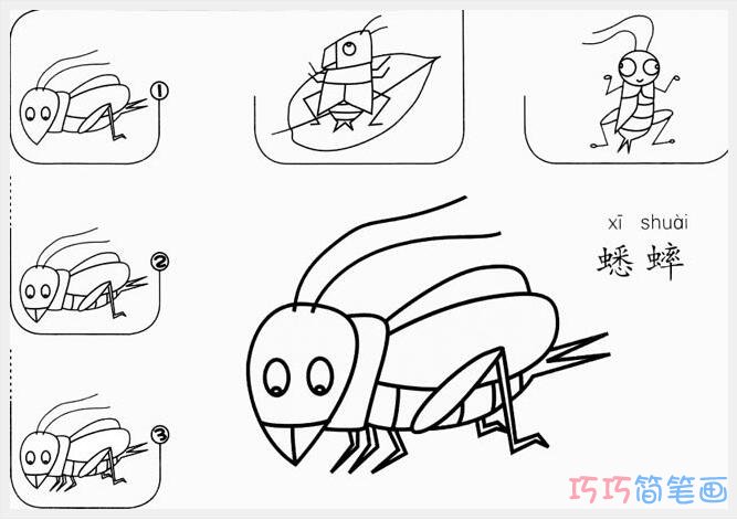 蟋蟀要怎么画好看_带步骤图蟋蟀简笔画图片