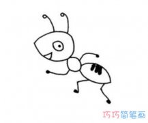 卡通蚂蚁怎么画带步骤图 蚂蚁简笔画图片
