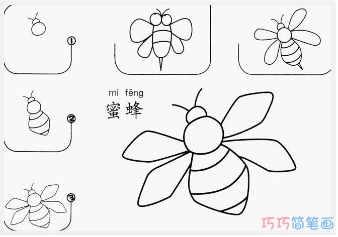 勤劳蜜蜂怎么画可爱_蜜蜂简笔画图片