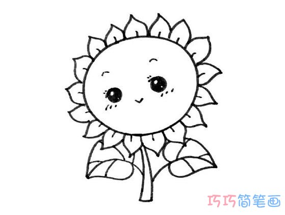 卡通向日葵怎么画可爱_带步骤向日葵简笔画图片