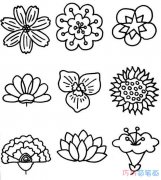 12各种花朵怎么画简单好看_花朵简笔画图片