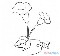 手绘喇叭花怎么画简单好看_牵牛花简笔画图片