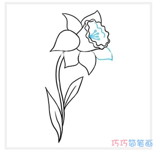 水仙花怎么画好看可爱_水仙花简笔画图片