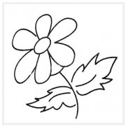 儿童卡通雏菊的画法简单漂亮_雏菊简笔画图片
