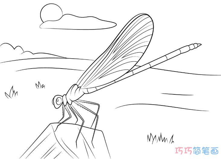 蜻蜓素描要怎么画简单好看_蜻蜓简笔画图片