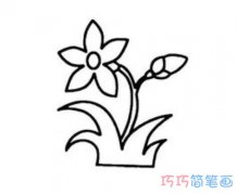 玉兰花怎么画简单好看_带步骤图玉兰花简笔画图片