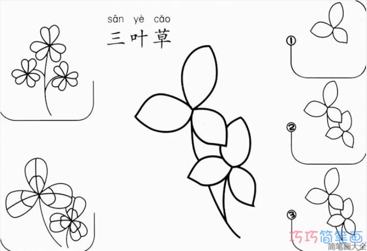 三叶草怎么画简单易学_带步骤图三叶草简笔画图片