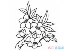 手绘桃花怎么画简单漂亮素描_桃花简笔画图片