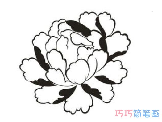 牡丹花怎么画好看易学_牡丹花简笔画图片