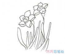 水仙花怎么画简单好看_带步骤图水仙花简笔画图片