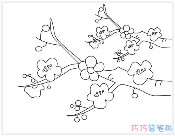  腊梅怎么画简单_带步骤图腊梅简笔画图片