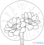 手绘荷花怎么画素描简单漂亮_荷花简笔画图片