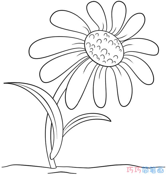 菊花怎么画简洁可爱_菊花简笔画图片
