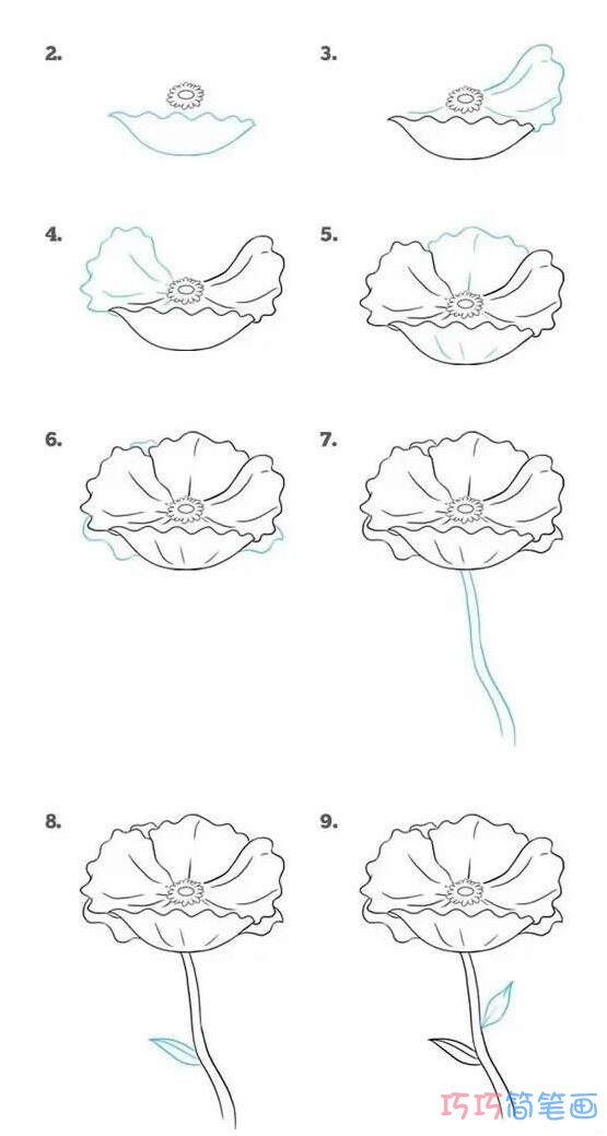 涂色菊花怎么画好看_带步骤图菊花简笔画图片