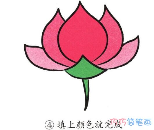 卡通荷花怎么画简单_带步骤图荷花简笔画图片