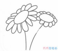 卡通菊花怎么画手绘简单易学_菊花简笔画图片